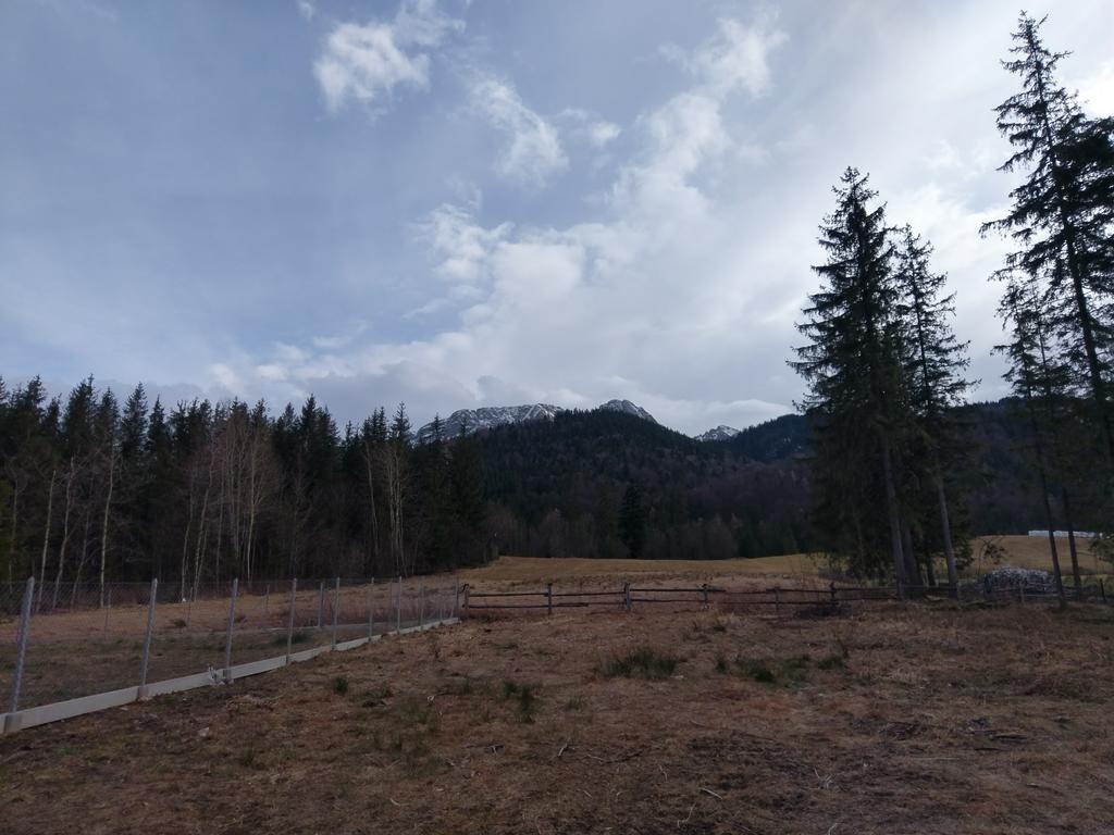 Apartamencik Z Widokiem Na Giewont زاكوباني المظهر الخارجي الصورة