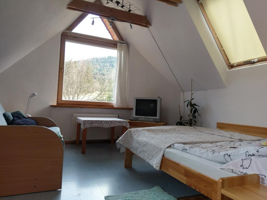 Apartamencik Z Widokiem Na Giewont زاكوباني المظهر الخارجي الصورة