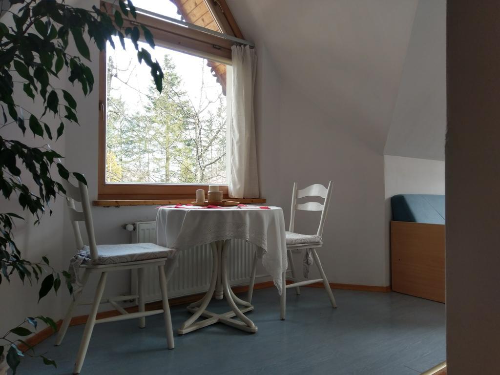 Apartamencik Z Widokiem Na Giewont زاكوباني المظهر الخارجي الصورة