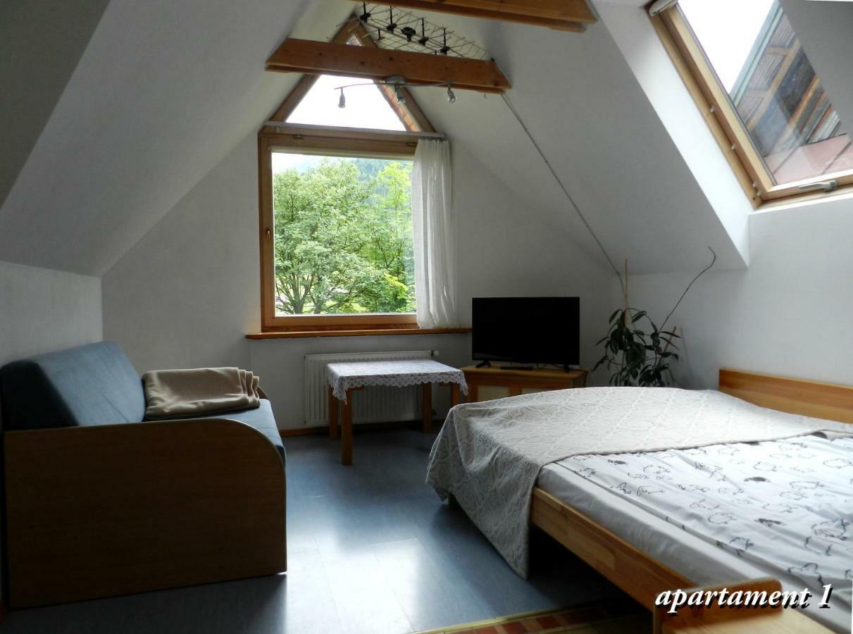 Apartamencik Z Widokiem Na Giewont زاكوباني المظهر الخارجي الصورة