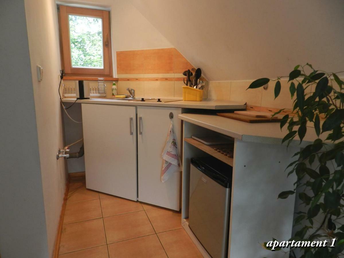 Apartamencik Z Widokiem Na Giewont زاكوباني المظهر الخارجي الصورة